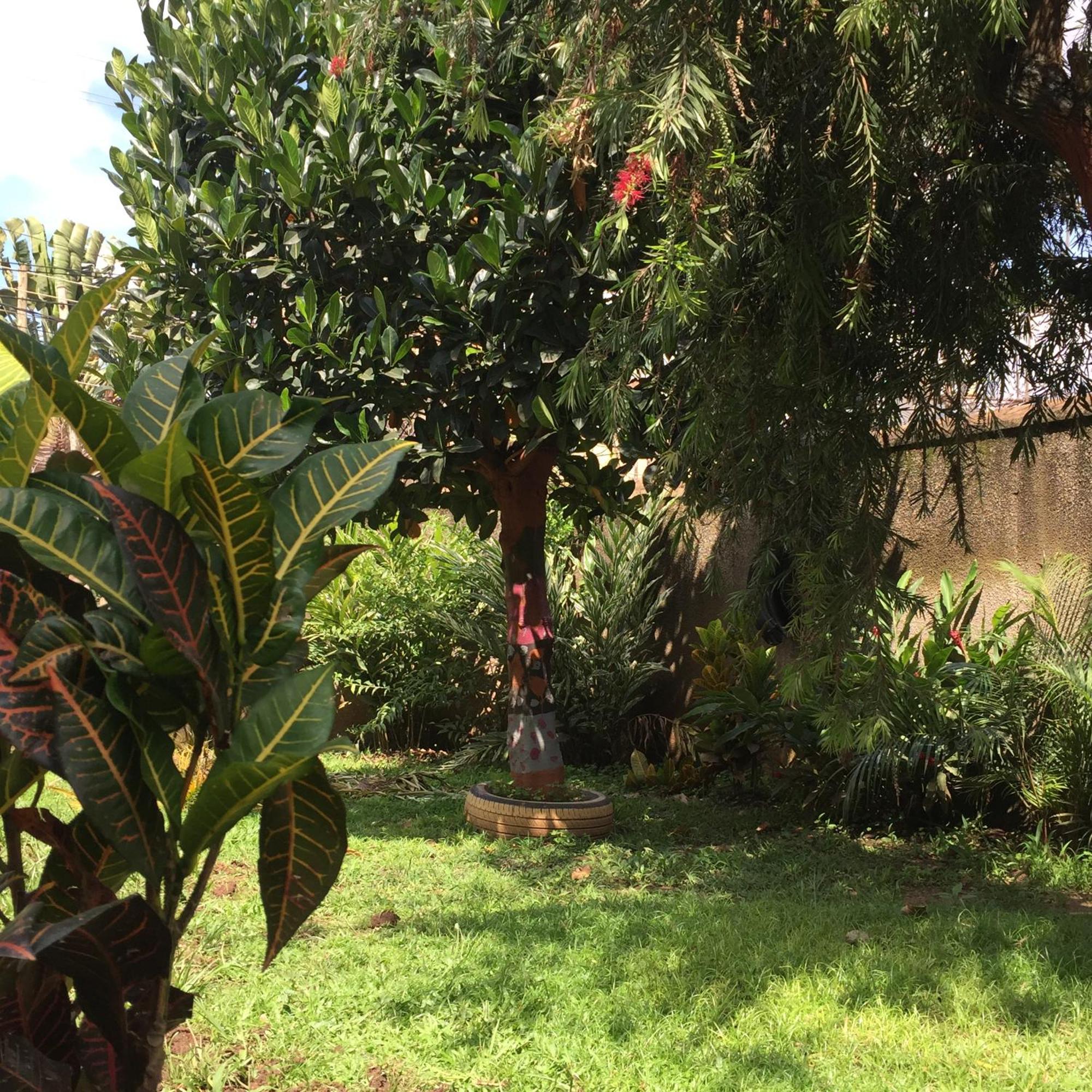 Tgs Homestay 坎帕拉 外观 照片